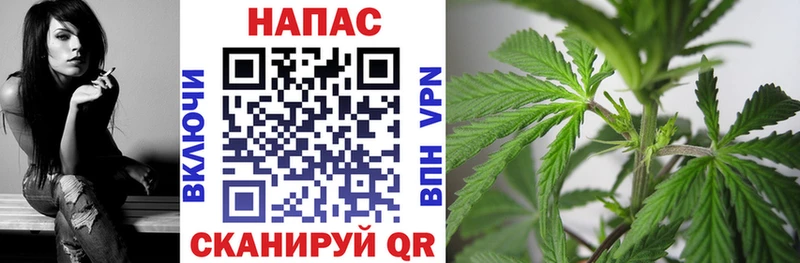 Купить закладку Николаевск Гашиш Кокаин Меф мяу мяу Псилоцибиновые грибы Лсд 25 Конопля