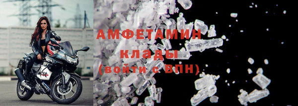 прущие грибы Белокуриха