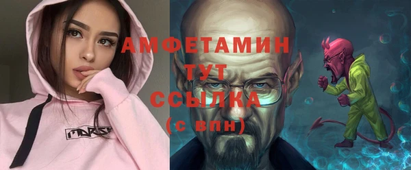 прущие грибы Белокуриха
