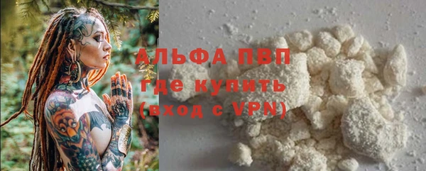 прущие грибы Белокуриха