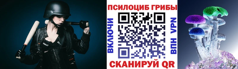 Псилоцибиновые грибы Magic Shrooms  ОМГ ОМГ ONION  Николаевск 